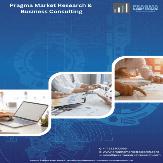Pragma Market Research Sample