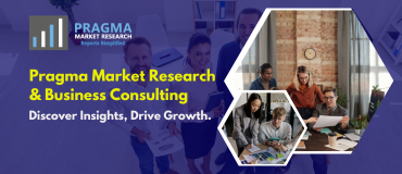 Visa Outsourcing Services Market Size and Forecast to 2030