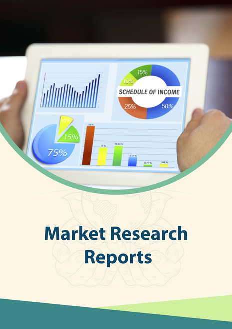 Global Public Key Infrastructure (PKI) Market Share, Growth, Size, Competitive Analysis, and Forecast to 2029